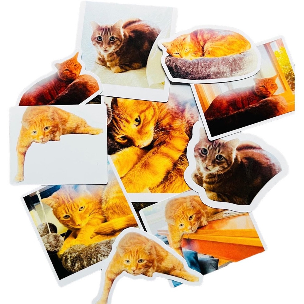 Custom Stickers